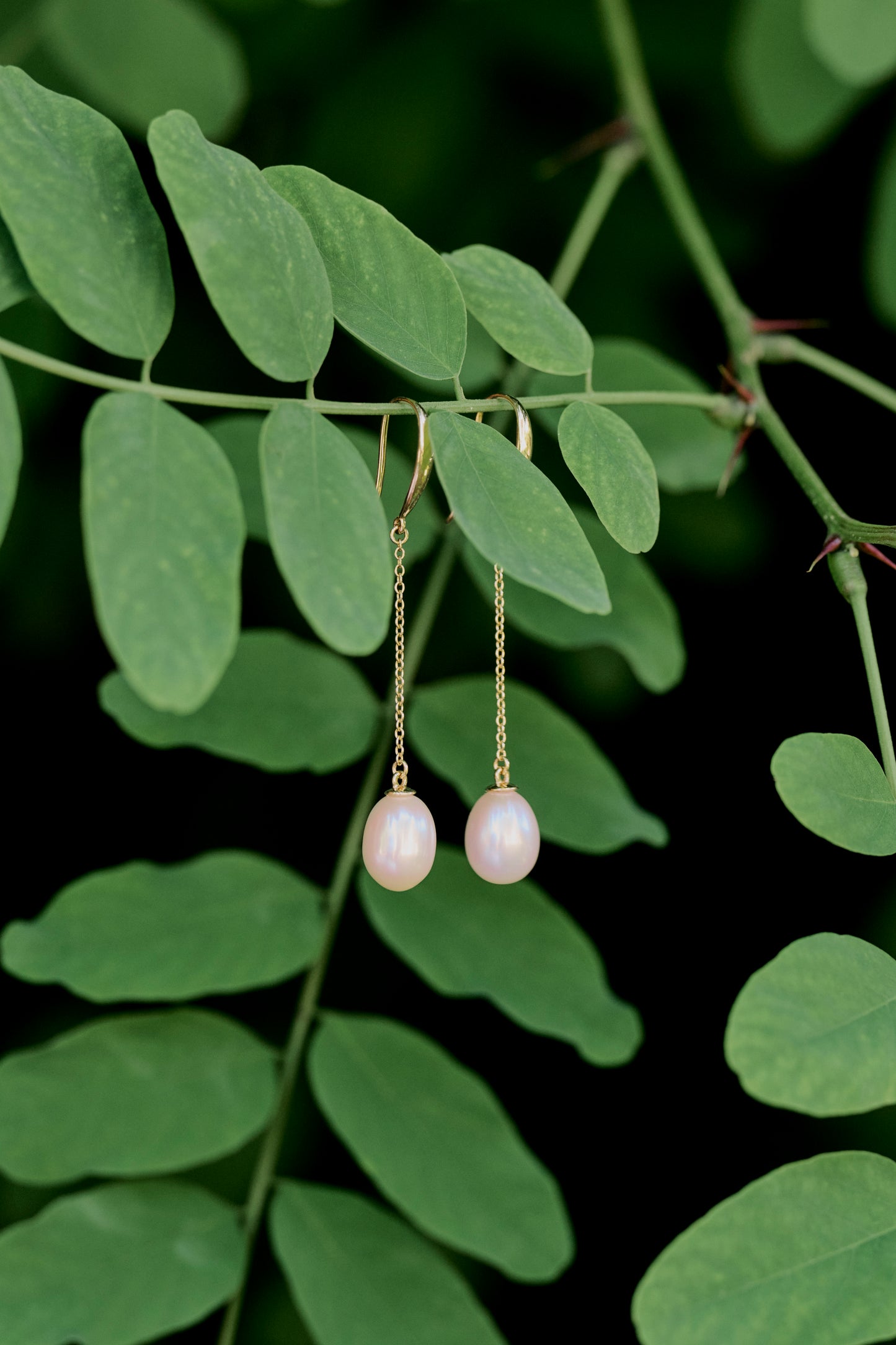 Swing Chain Earrings